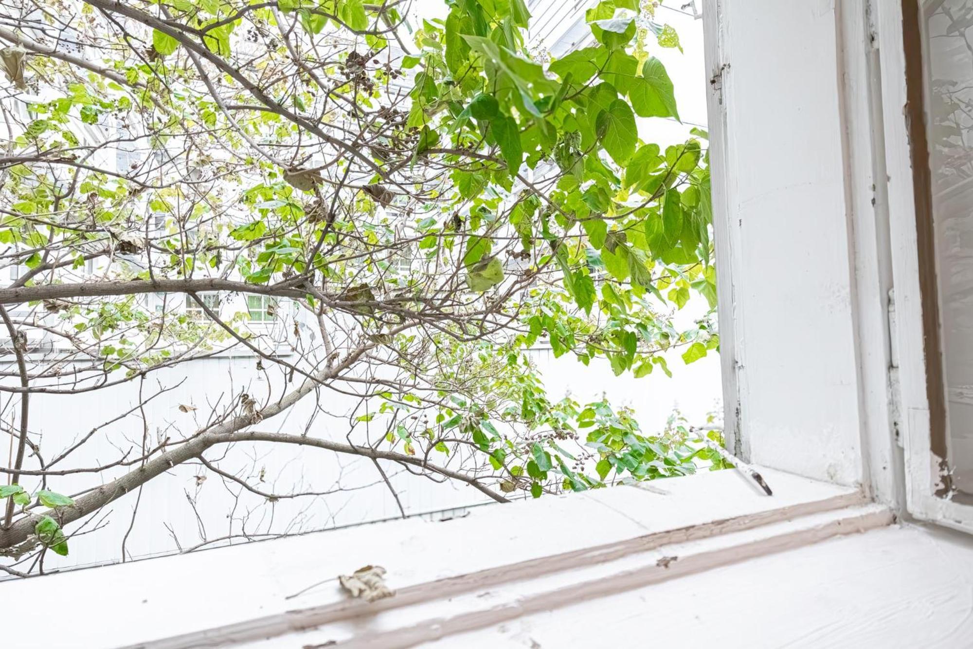 Central Belvedere 3Br Shared Apartment - 12 Min From City Center เวียนนา ภายนอก รูปภาพ